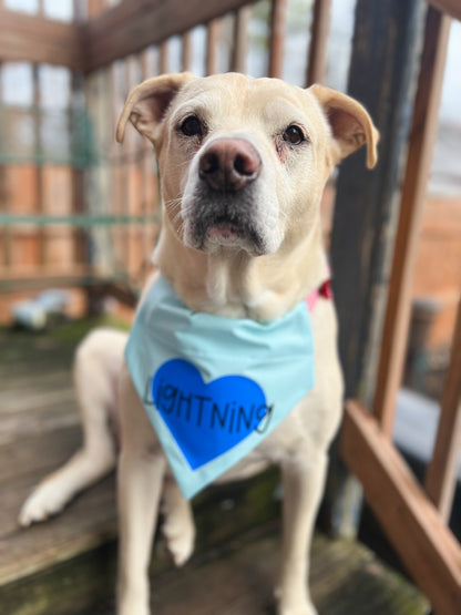 Valentine Heart Bandana