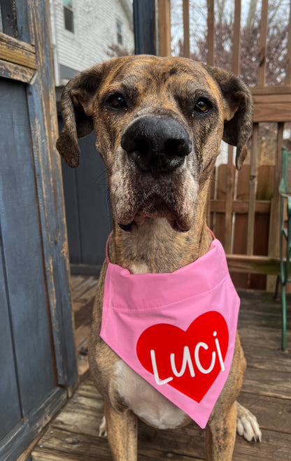 Valentine Heart Bandana