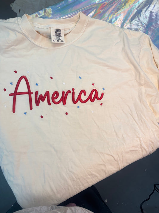 America 3D Puff Embroidered Tee