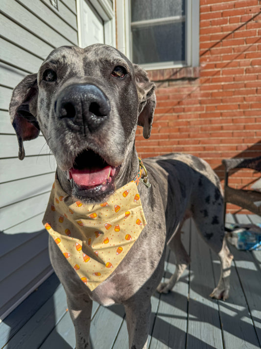 Pastel Candy Corn Bandana