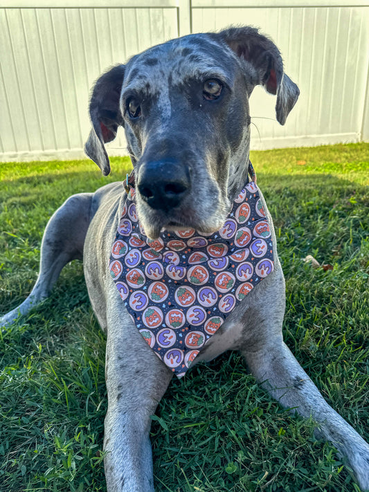 Halloween Cookies Bandana