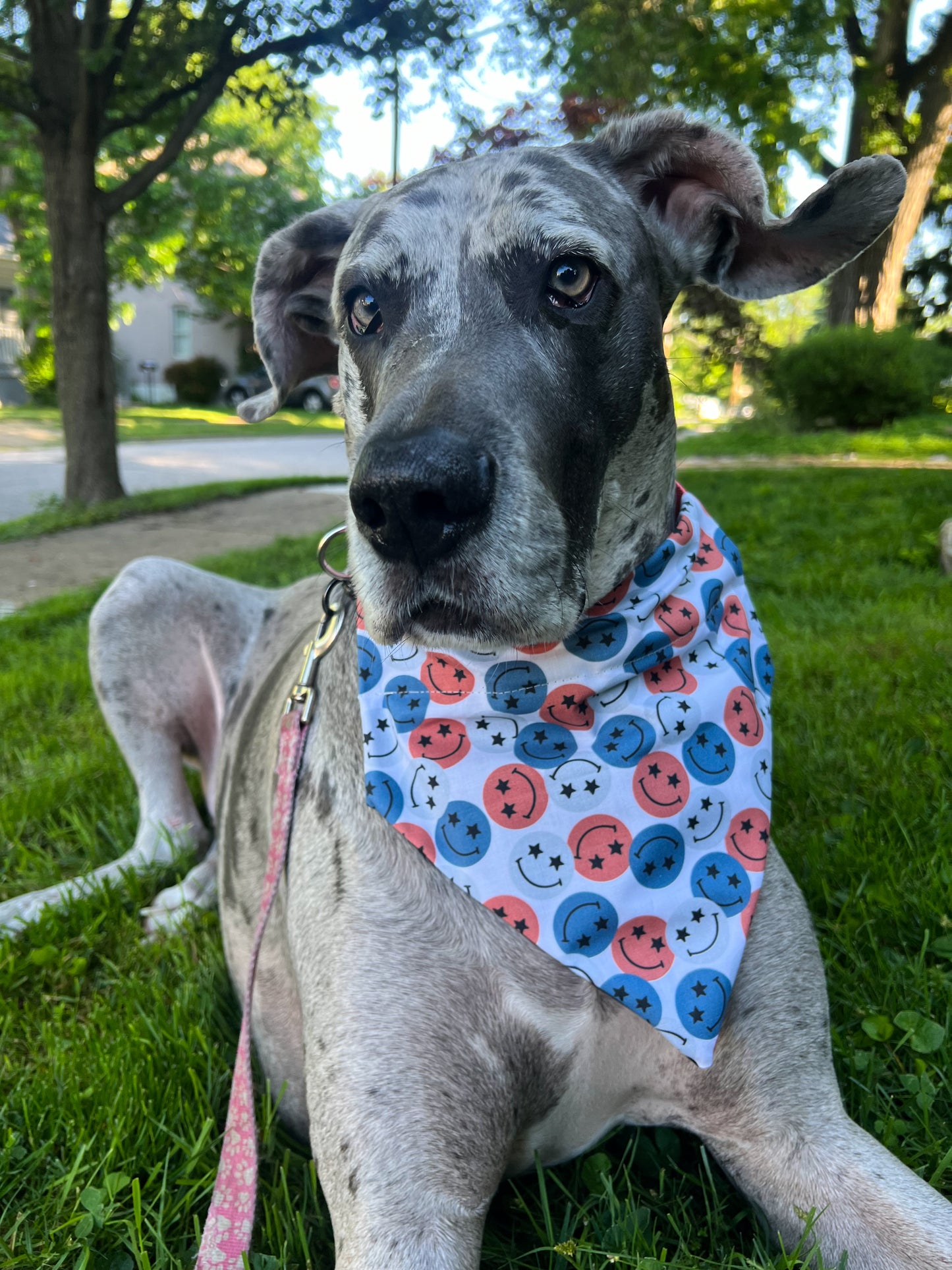 Red, White, Blue Smiles Bandana