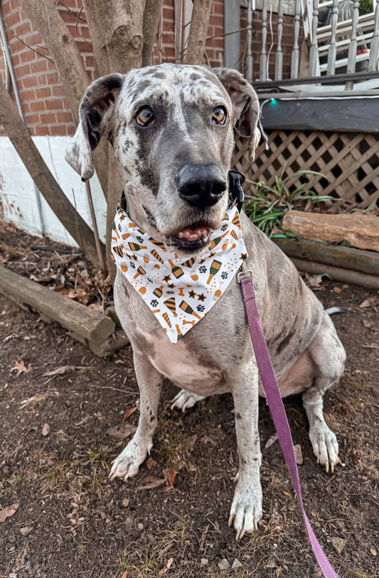New Year's Eve Dog Bandana