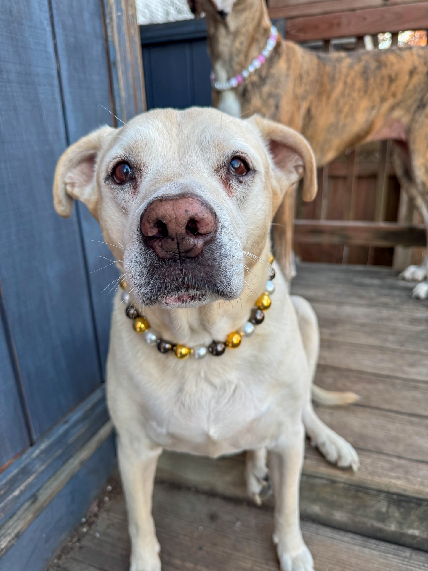 Metallic NYE Beaded Collar