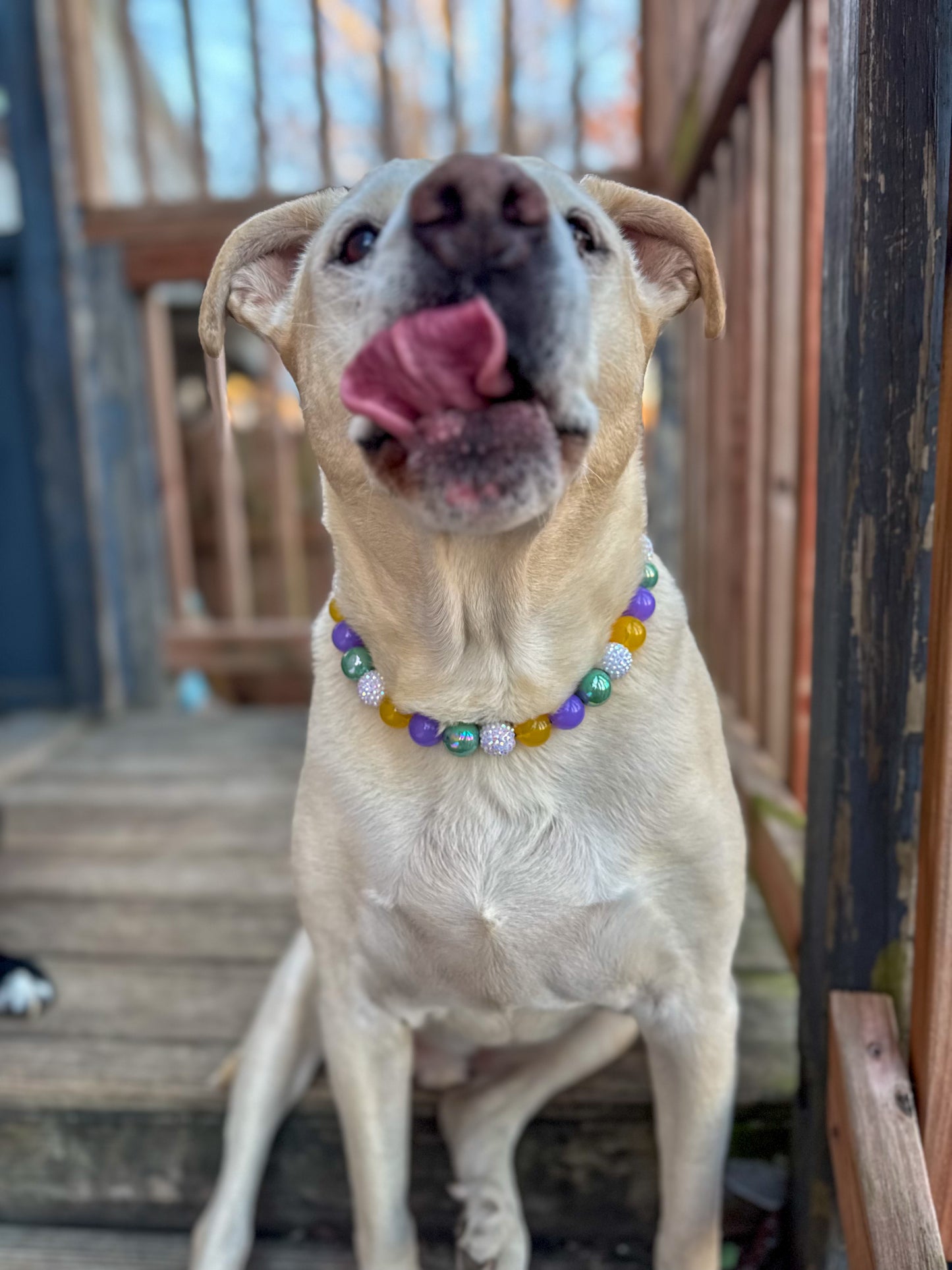 Bubblegum Mardi Gras Beaded Collar