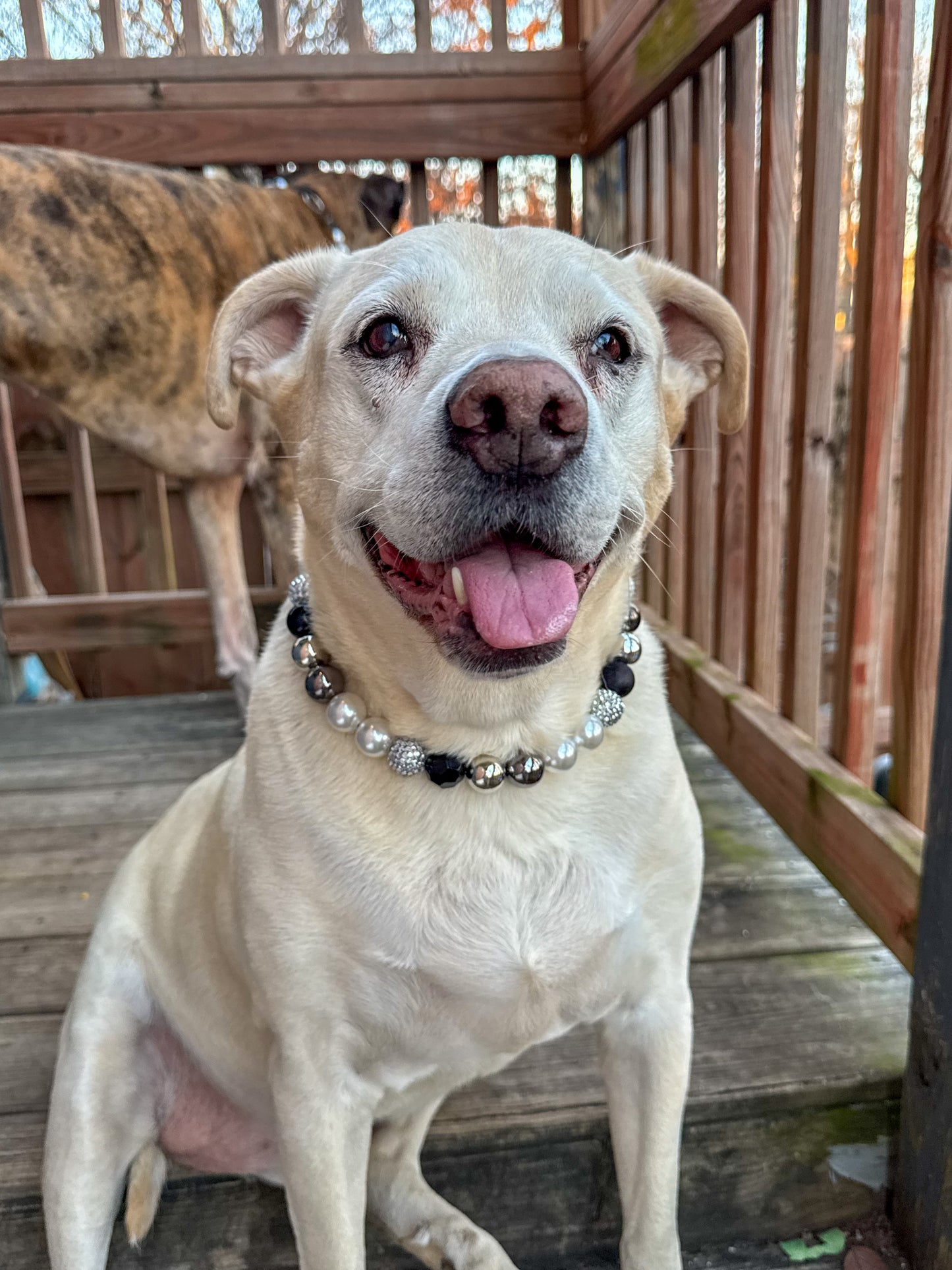 Silver and Black NYE Beaded Collar