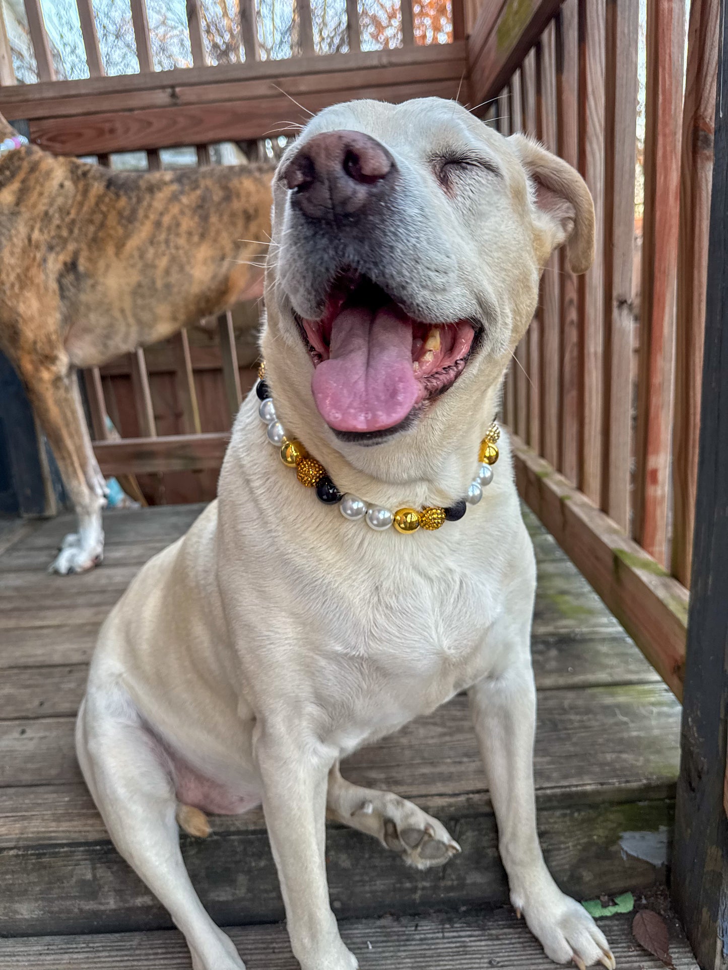 Gold and Pearl NYE Beaded Collar