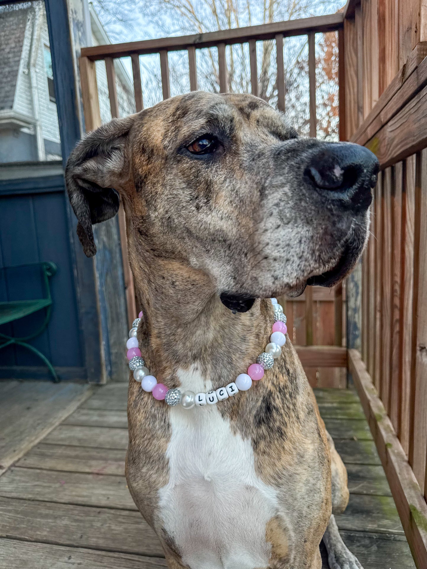 Pink Disco NYE Beaded Collar (With or W/O Name)