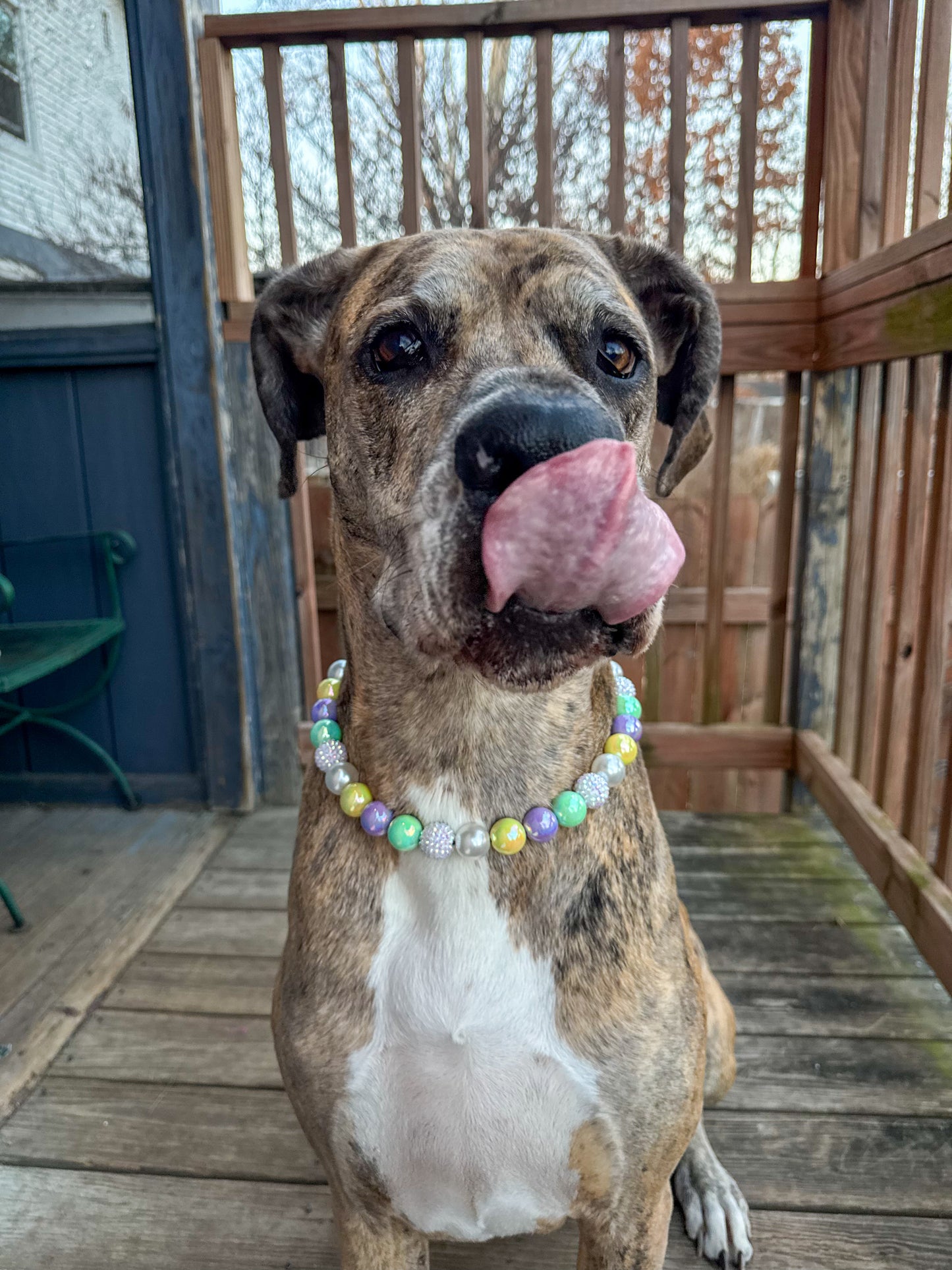 Pastel Mardi Gras Beaded Collar