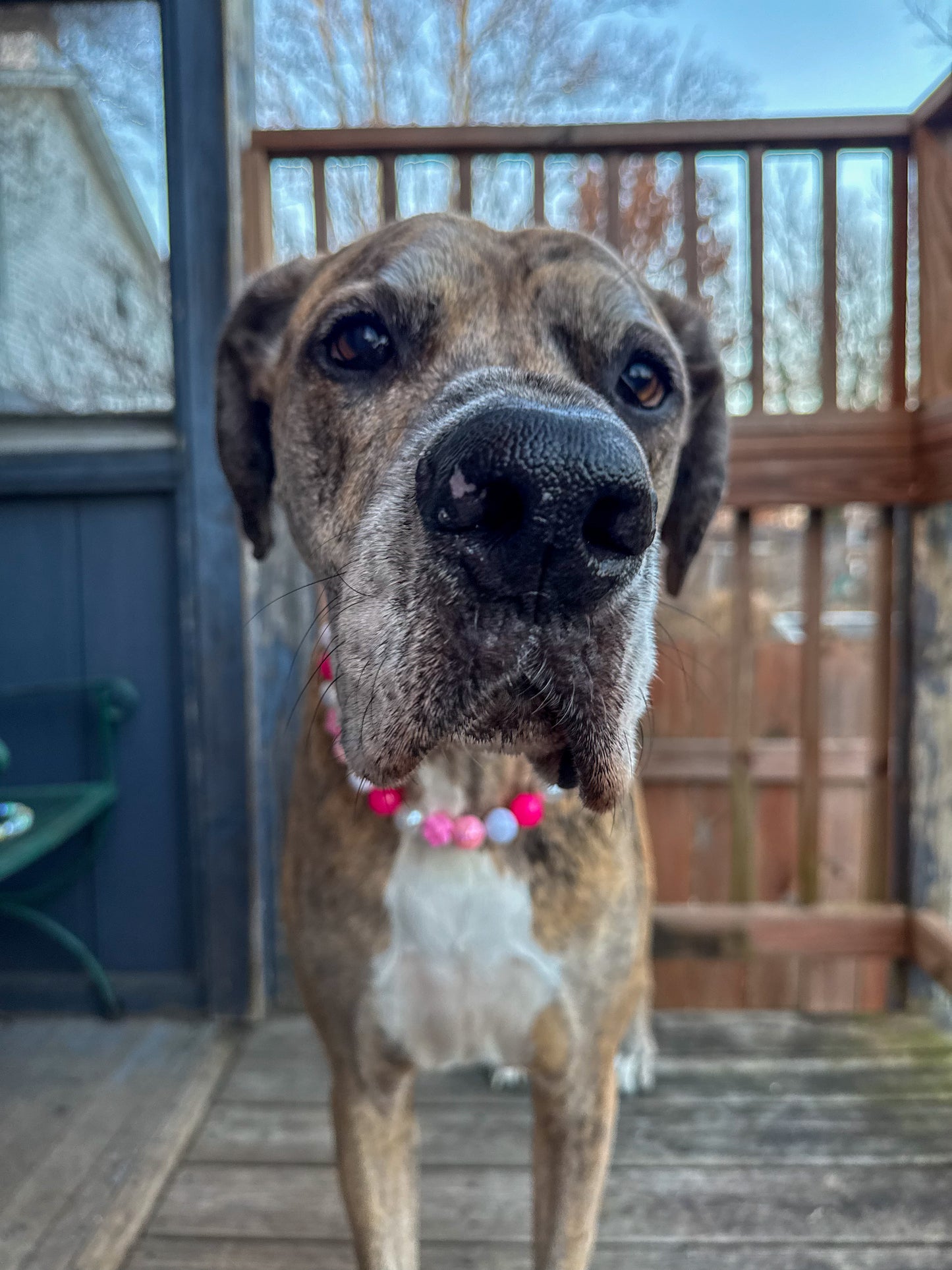 Bubble Pink NYE Beaded Collar