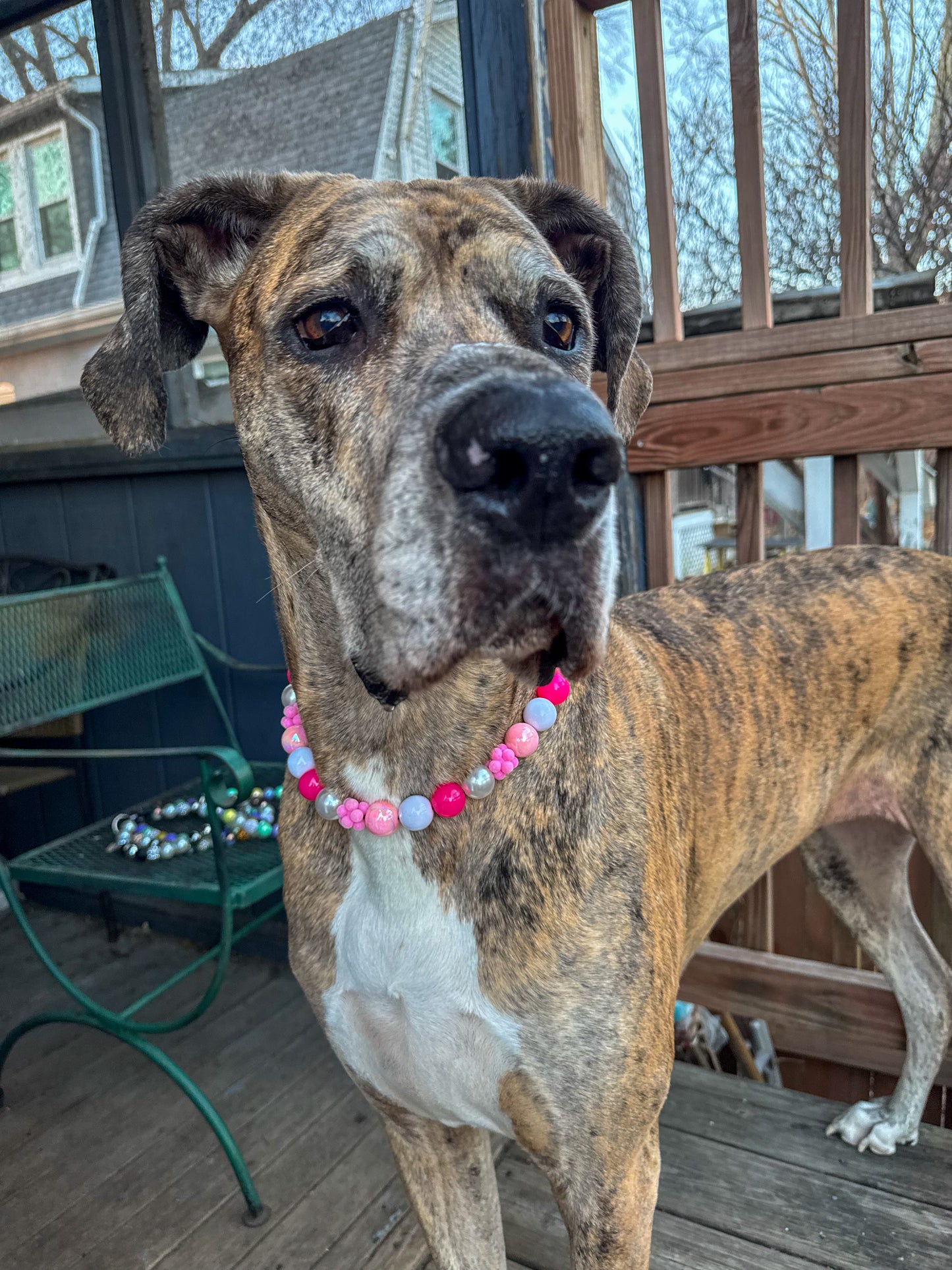 Bubble Pink NYE Beaded Collar