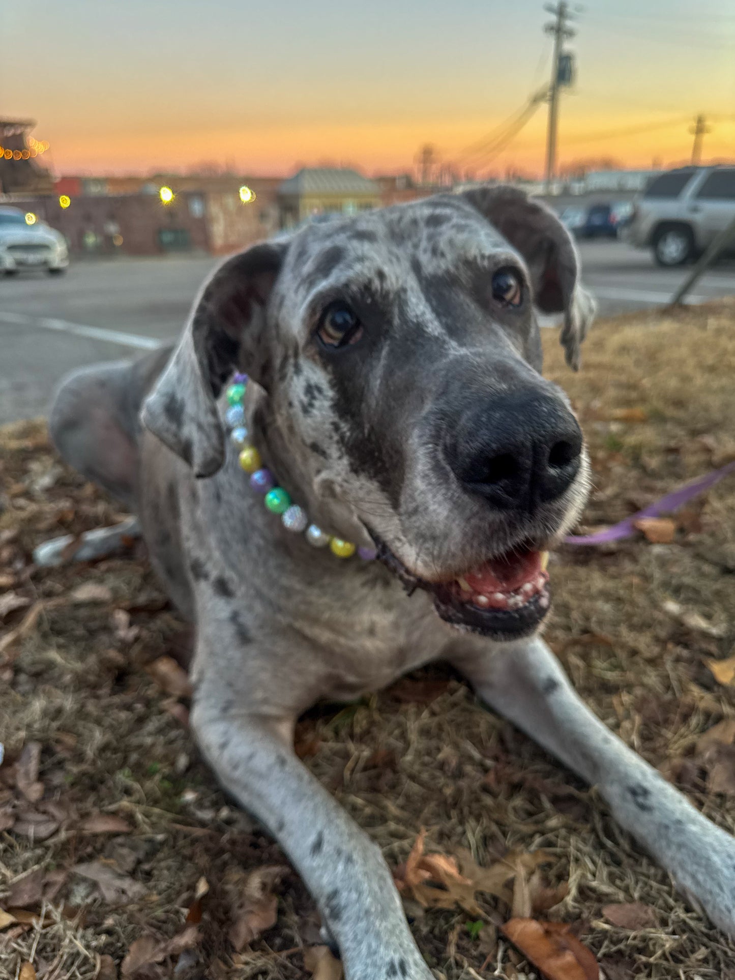 Pastel Mardi Gras Beaded Collar