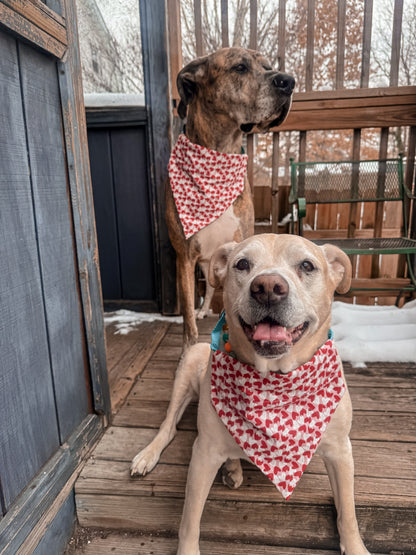 Sketch Mini Hearts Bandana