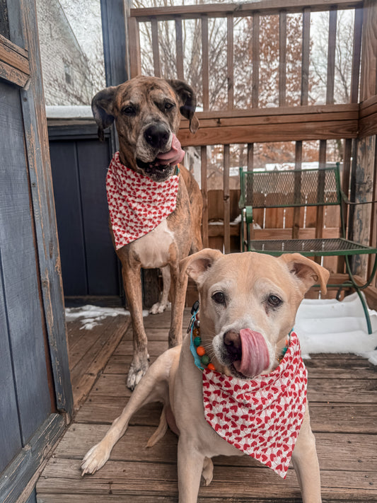Sketch Mini Hearts Bandana