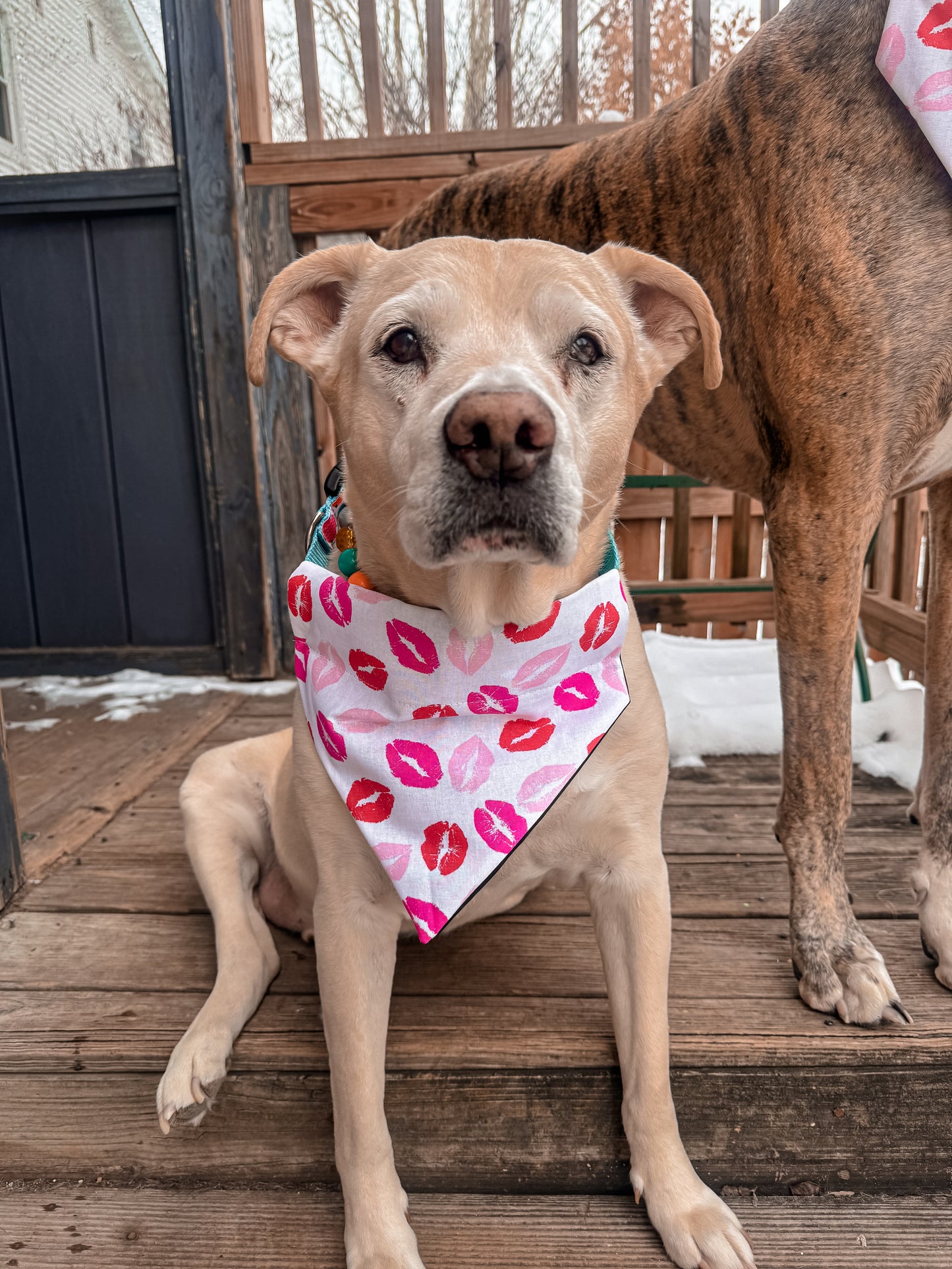 Lipstick Kisses Bandana