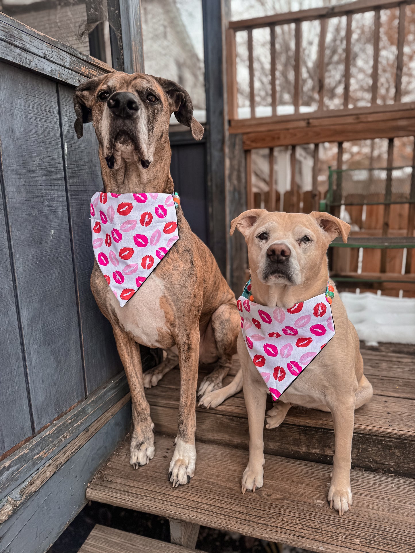 Lipstick Kisses Bandana