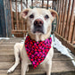 Neon Hearts Bandana