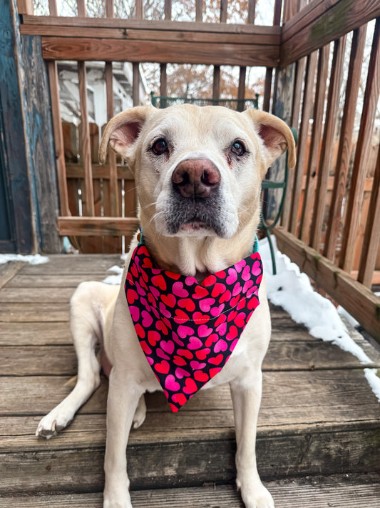 Neon Hearts Bandana