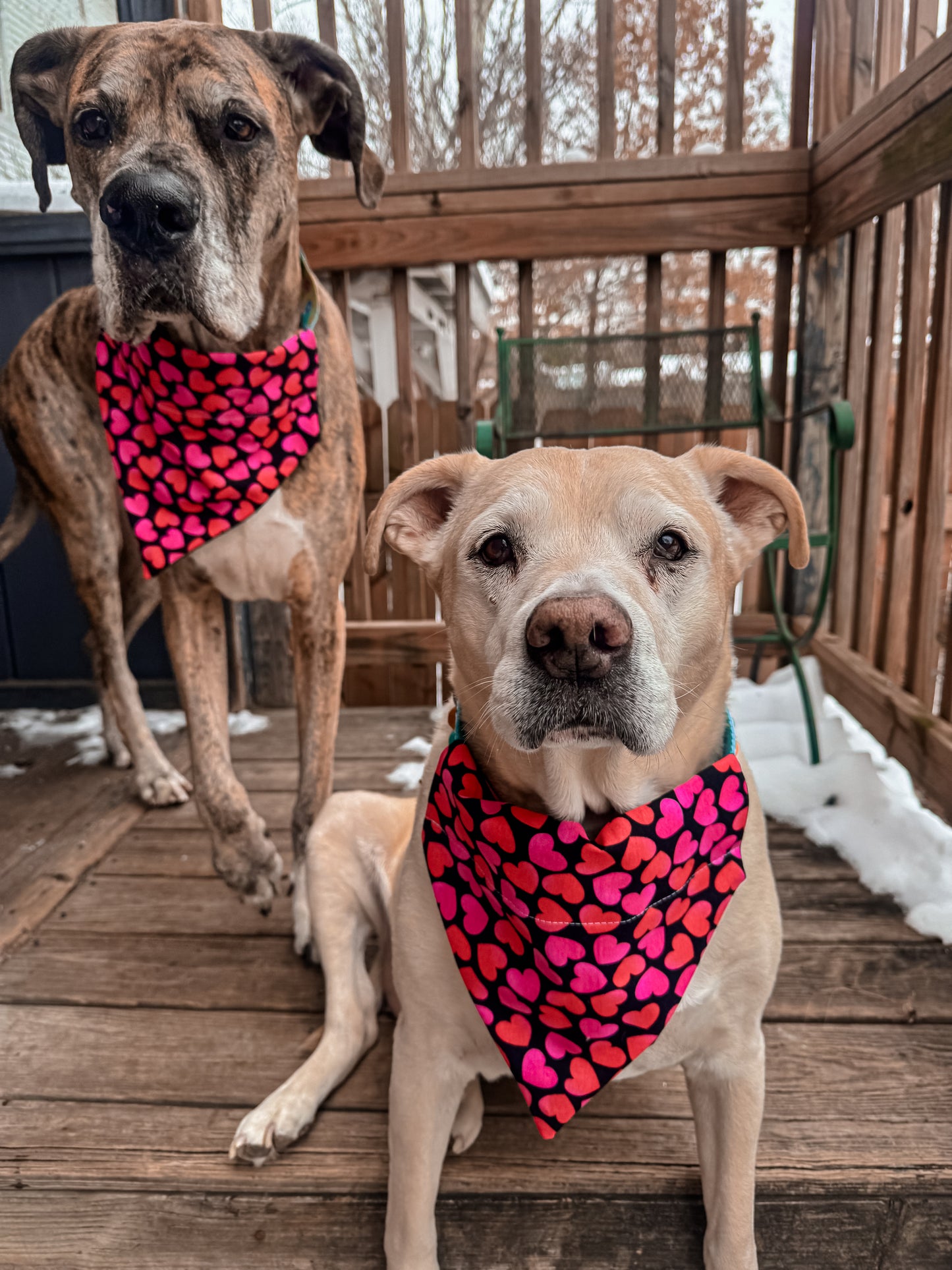 Neon Hearts Bandana