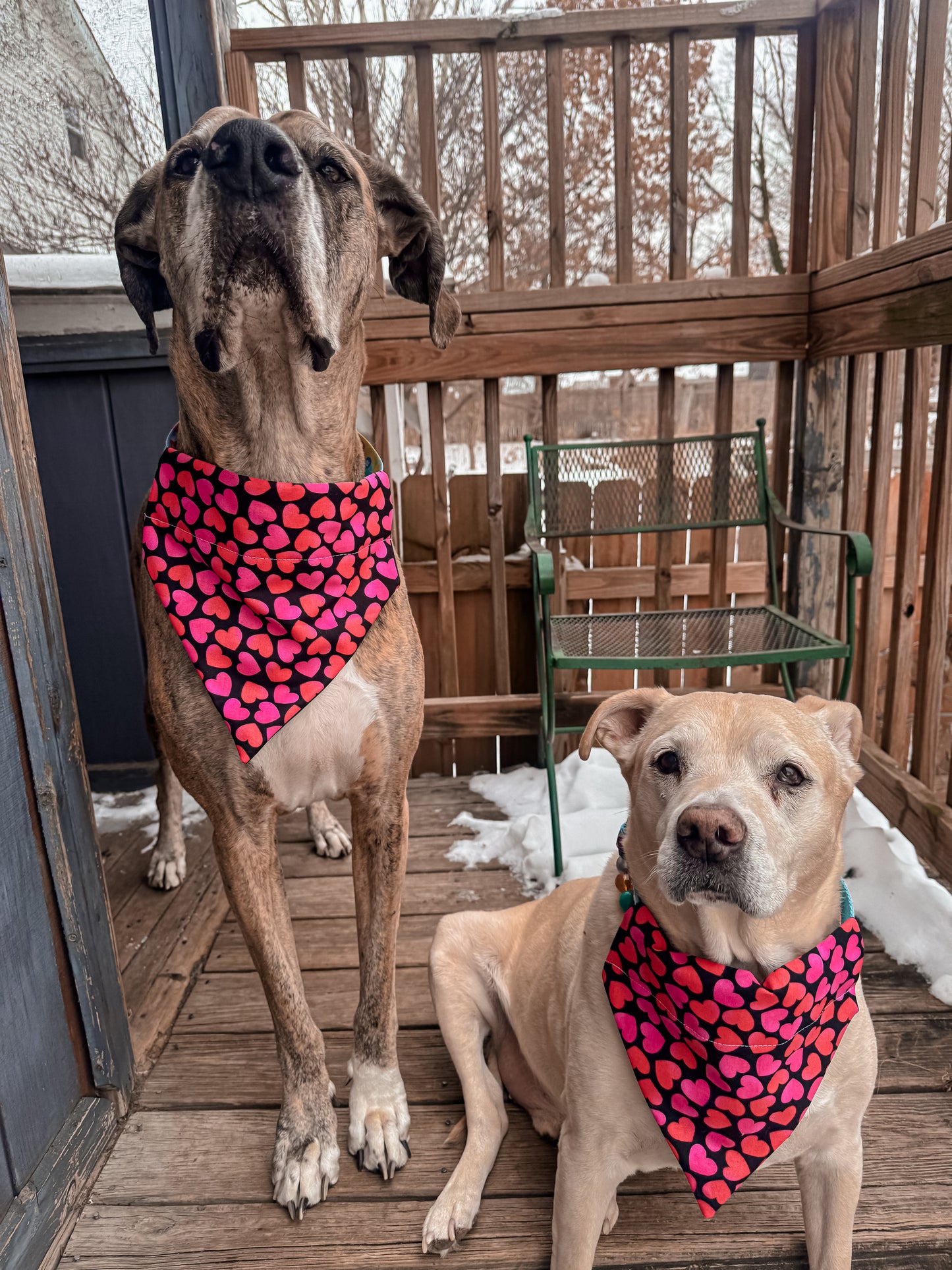 Neon Hearts Bandana