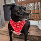 I Woof You Bandana