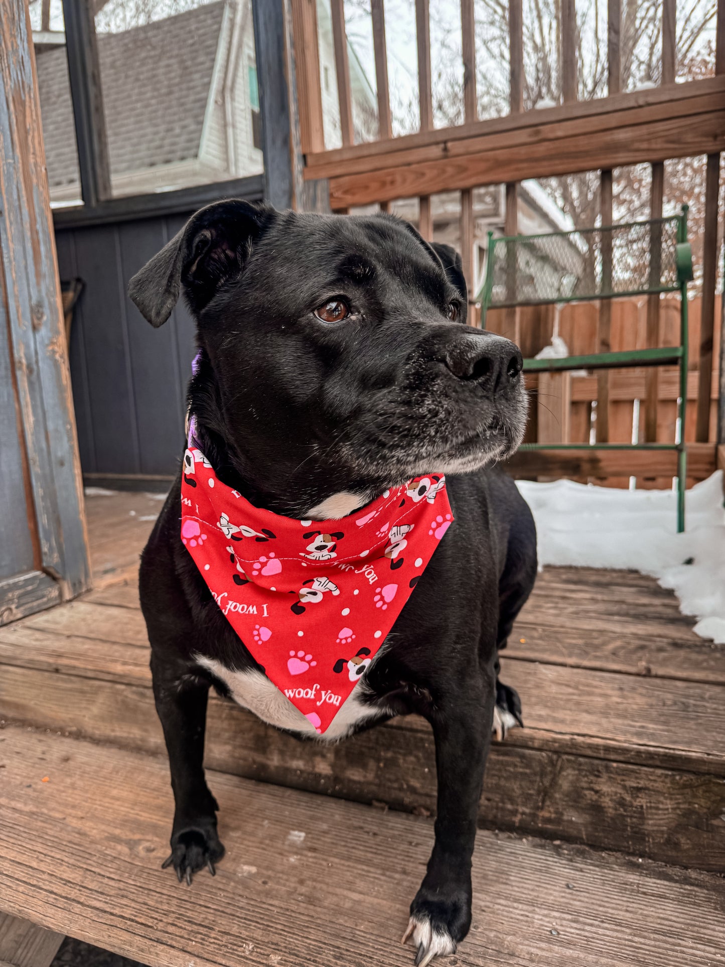 I Woof You Bandana