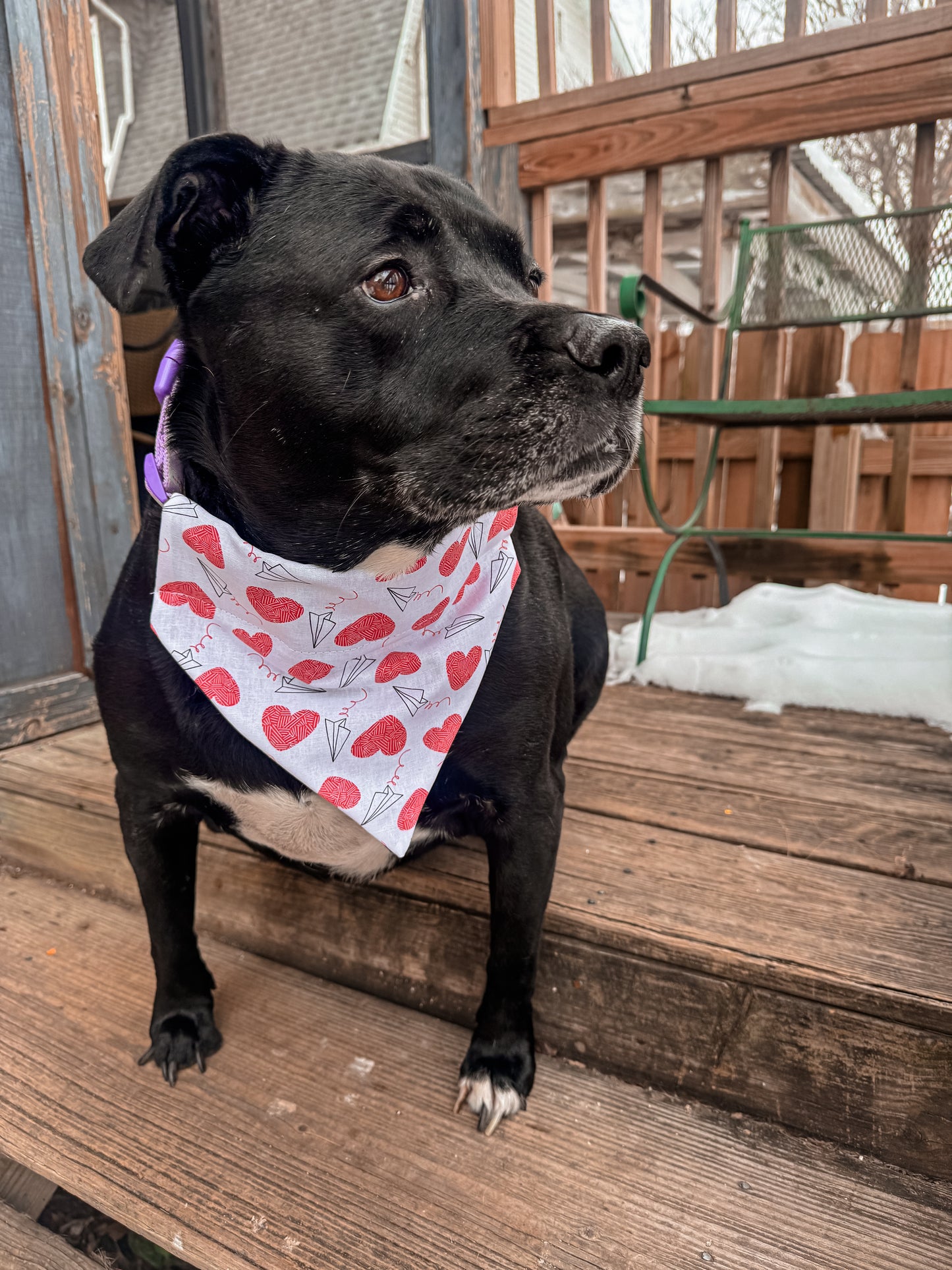 Paper Airplanes and Hearts Bandana