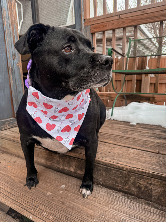 Paper Airplanes and Hearts Bandana