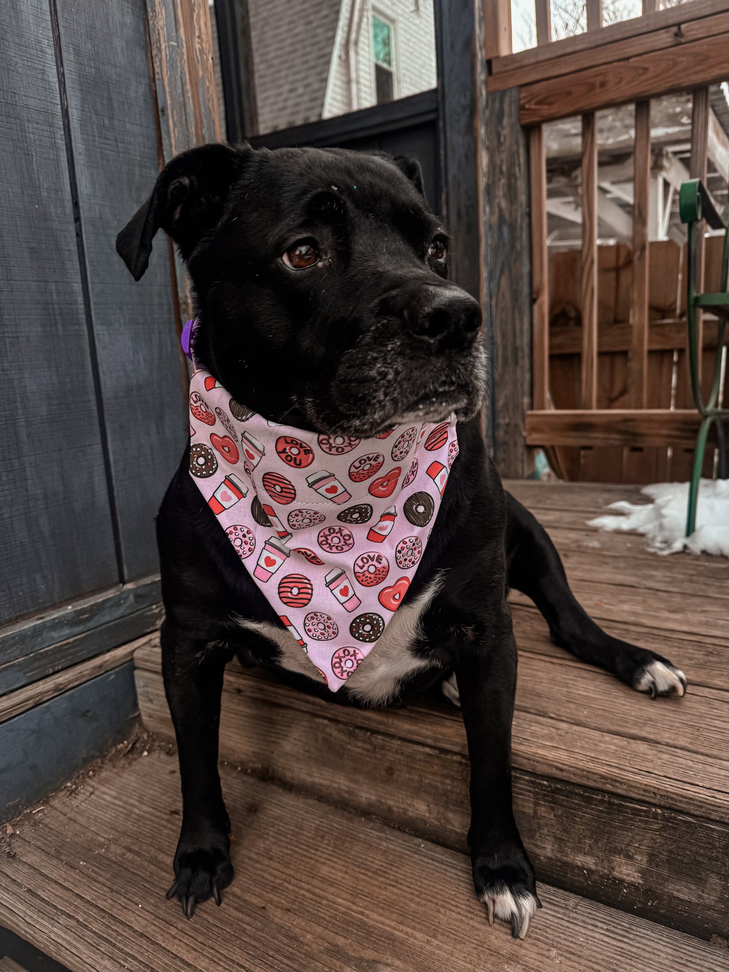 Valentines Donuts and Coffee Bandana