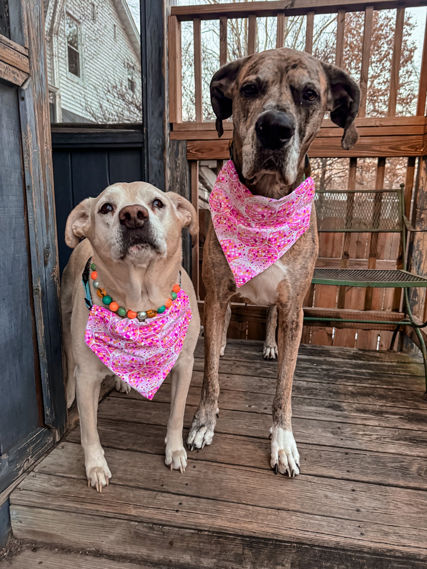Hot Pink Disco Balls Bandana