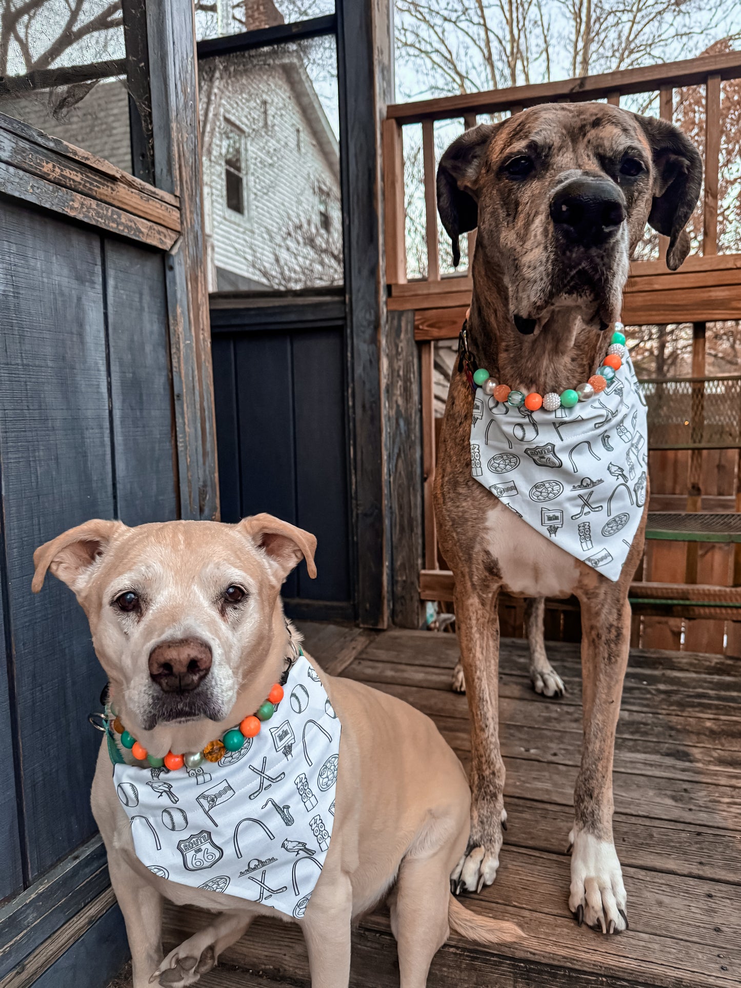 STL Icons Bandana