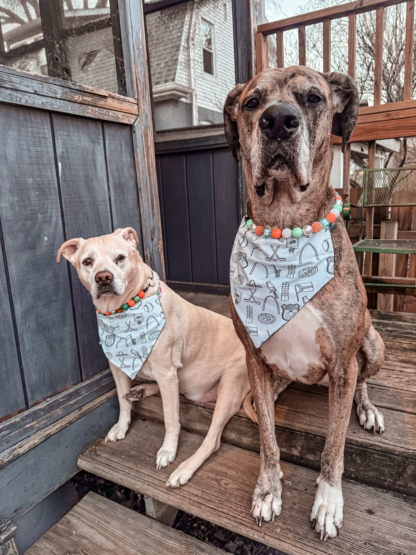 STL Icons Bandana