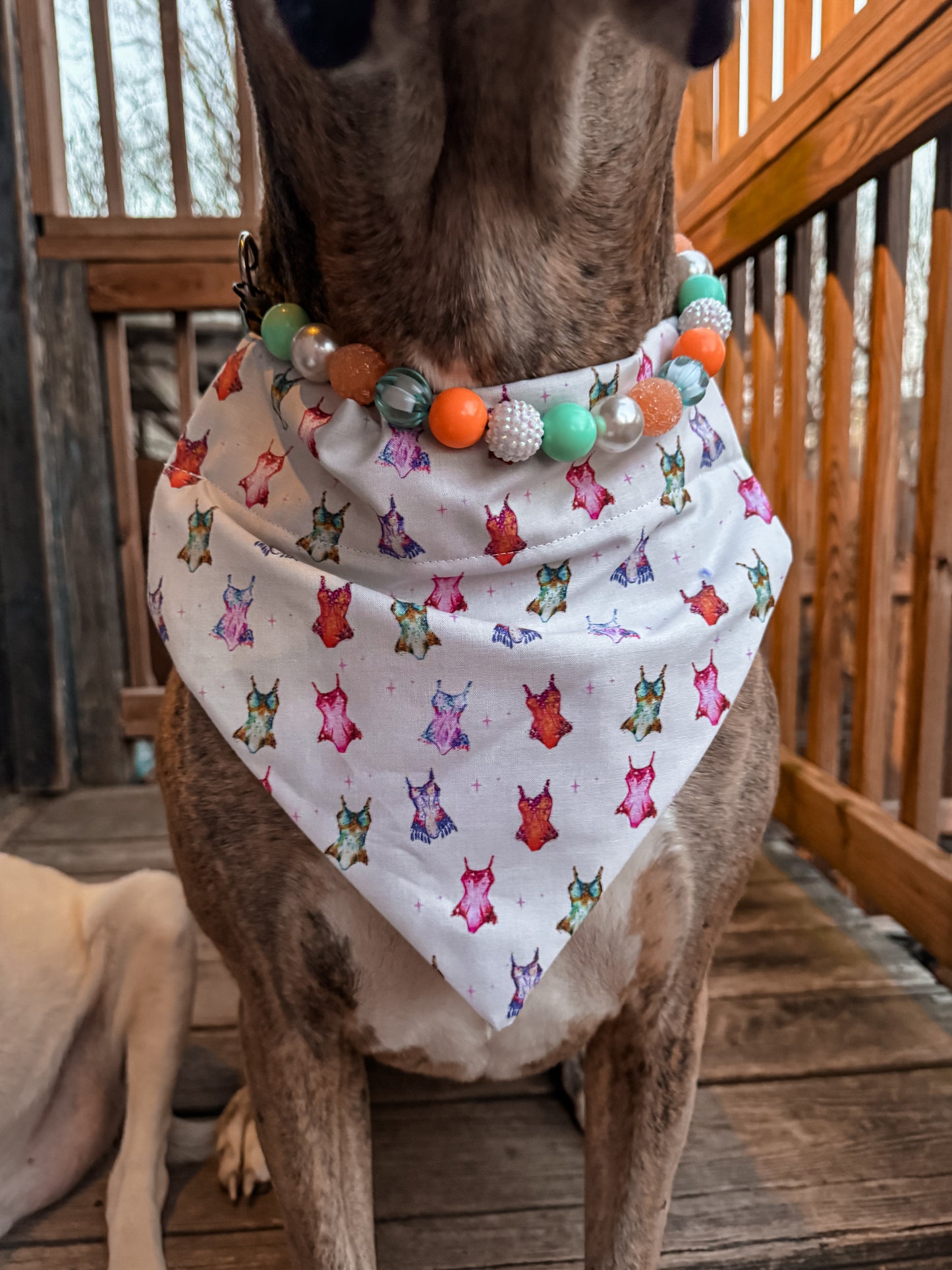 ERAS Body Suits Bandana