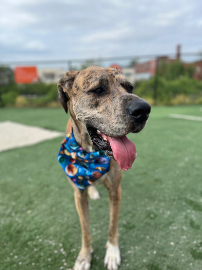 Space Bandana