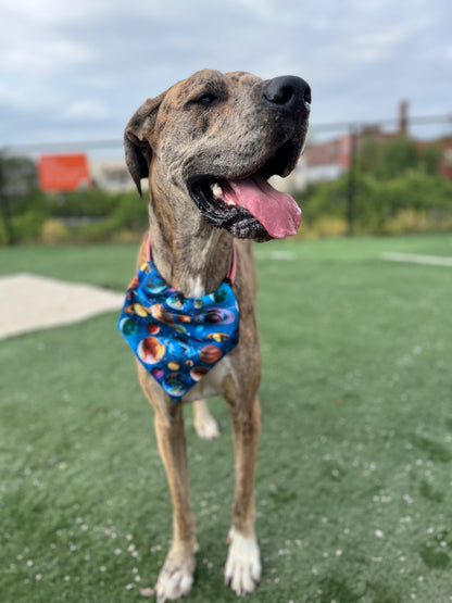 Space Bandana