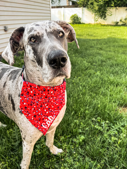 All American Dog Mom Tee & Bandana Set