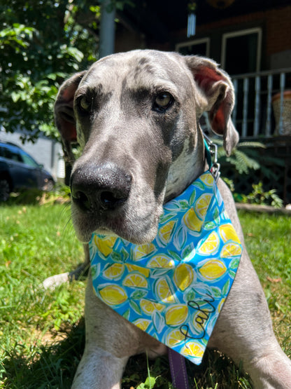 Lemons Bandana