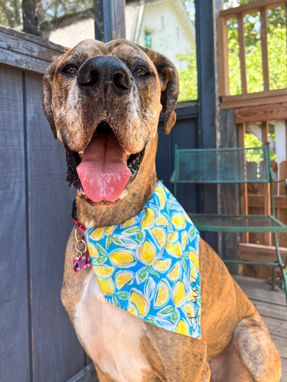 Lemons Bandana
