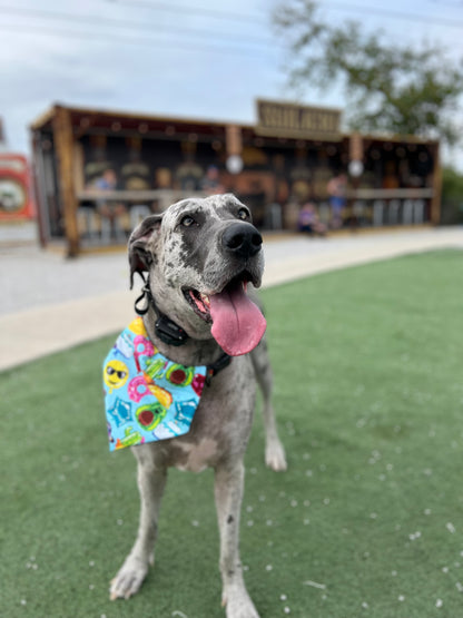 Foil Birthday Balloons Bandana