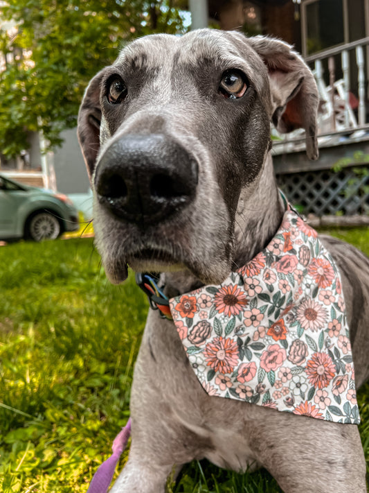 Summer Floral Bandana