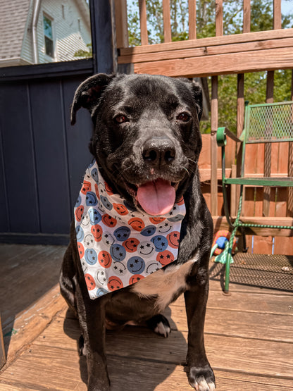 Red, White, Blue Smile Bandana