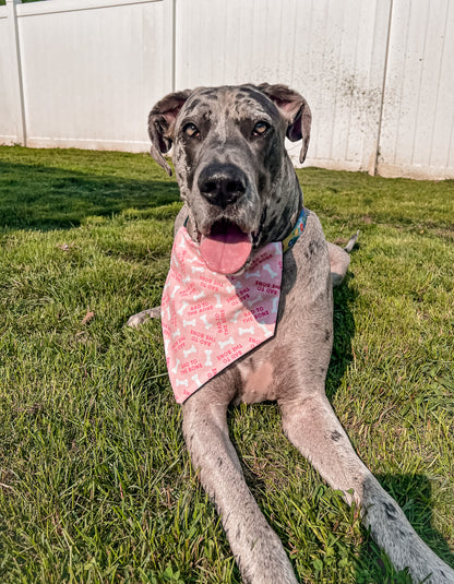 Bad to the Bone Bandana