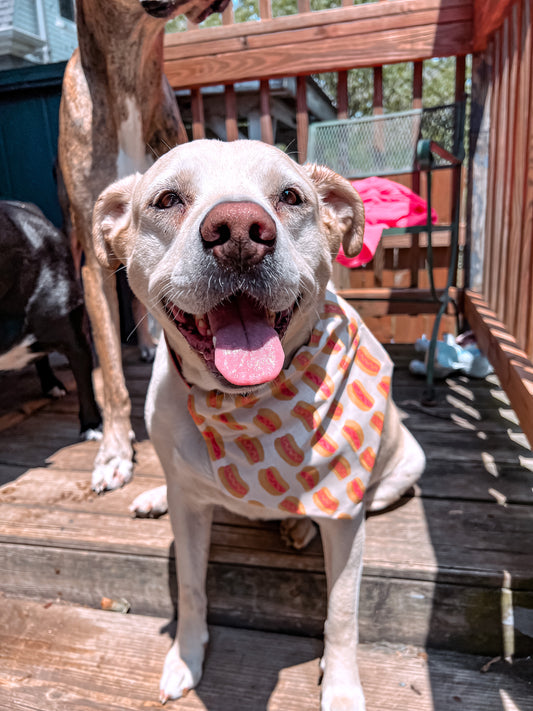 Hot Dogs Bandana