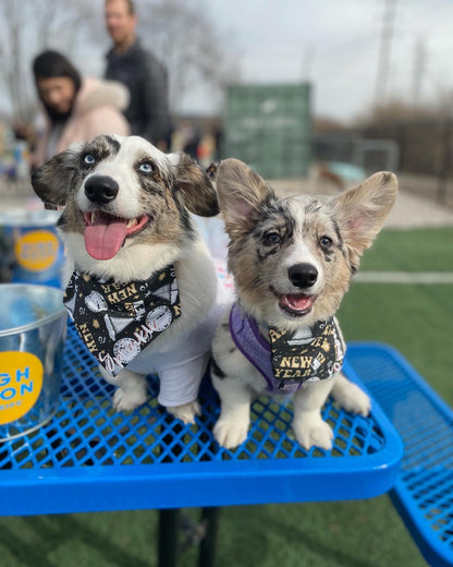 NYE Party Bandana