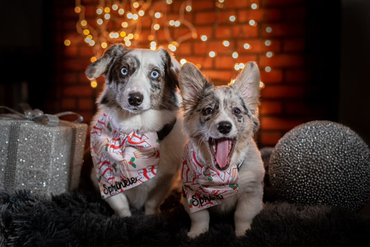 Christmas Cake Bandana