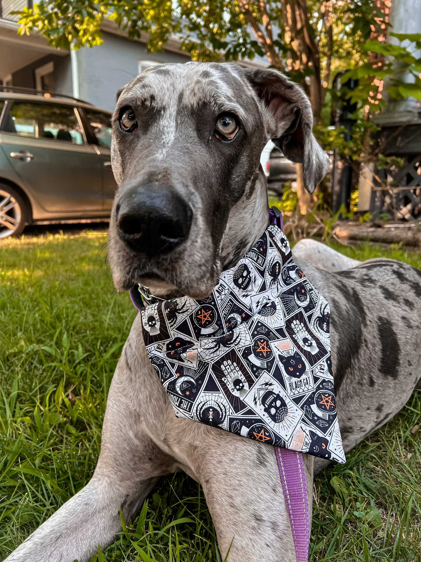 Tarot Cards Bandana