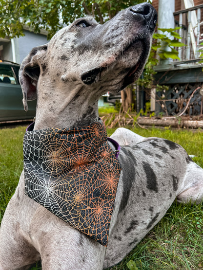 Spider Webs Bandana