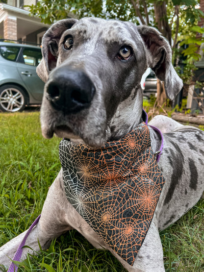 Spider Webs Bandana