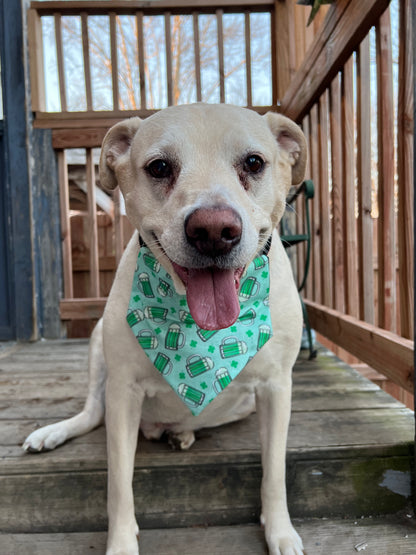 Green Beer Bandana
