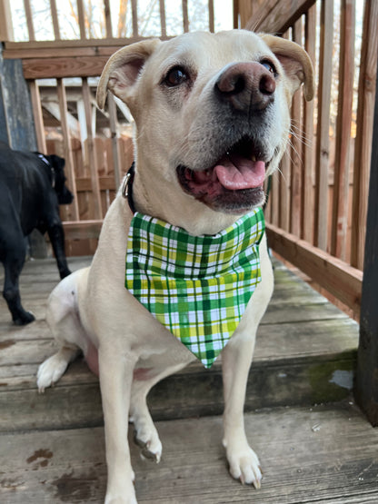 Green Plaid Bandana